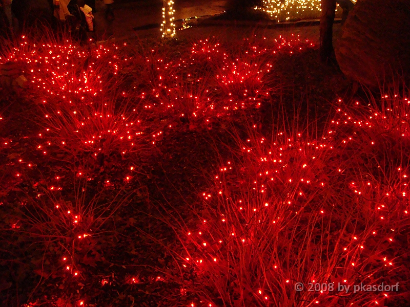 040 Toledo Zoo Light Show [2008 Dec 27].JPG - Scenes from the Toledo Zoo Light Show.